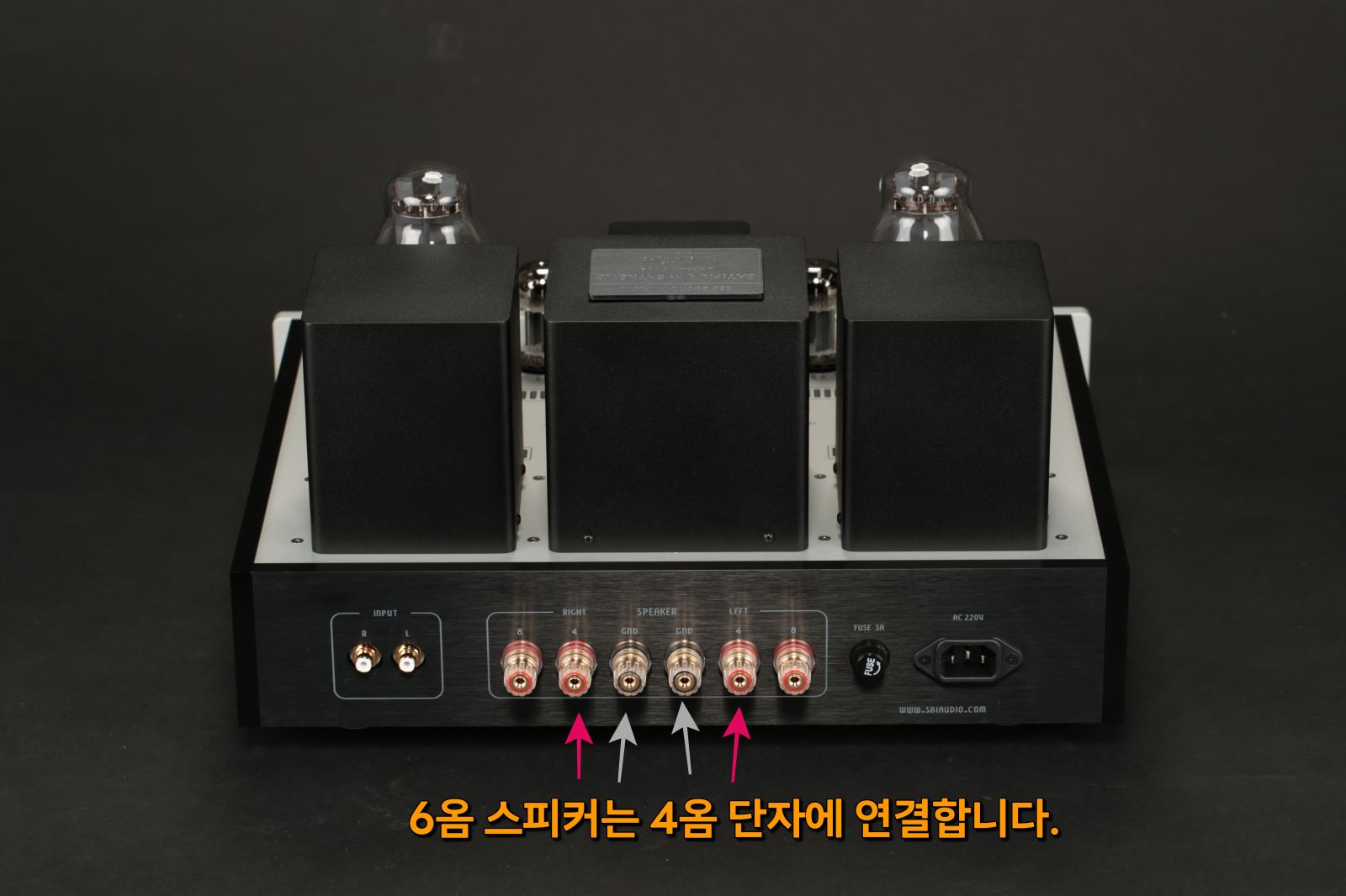 2025-09-22 새티늄 XE 013-1.JPG