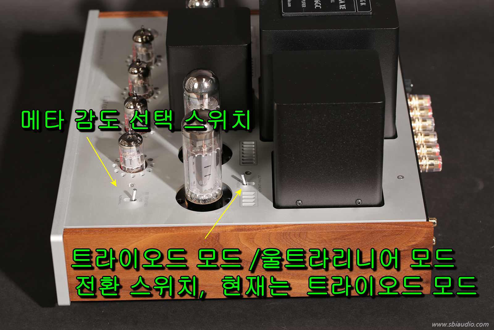 20221031올로로사 파워 XE 009-1.jpg