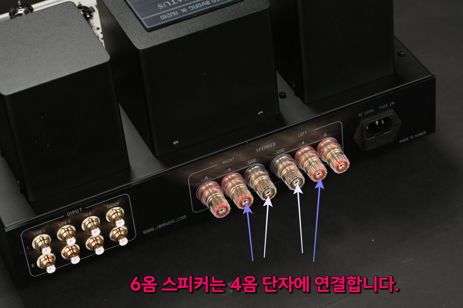 2026-03-26 델리카투스 파라렐과 SP-200 XE 018-2.JPG