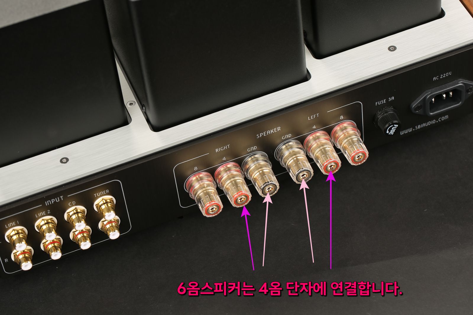 2026-10-13 리자베타 XE 012.JPG
