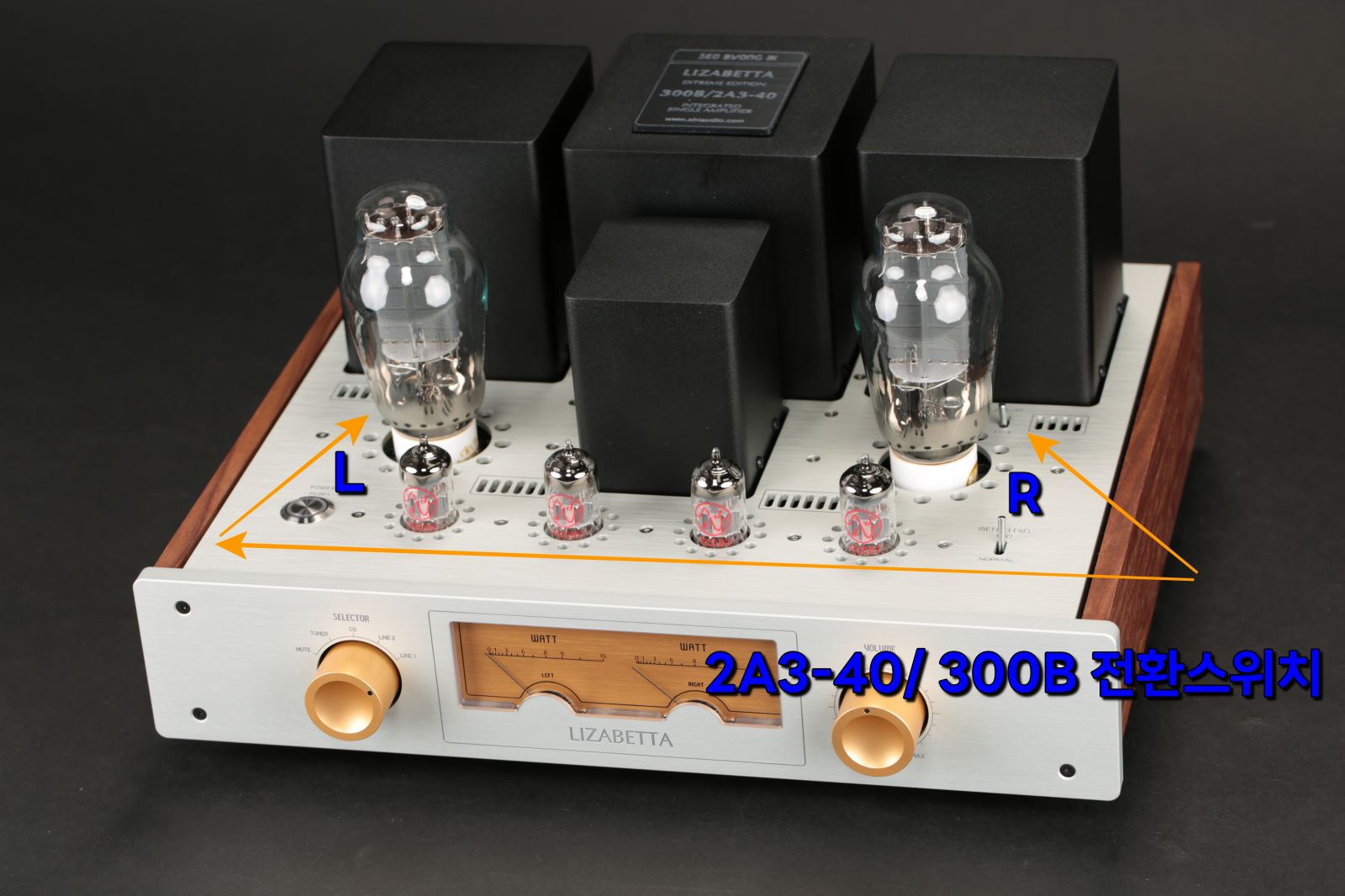 2025-10-28 리자베타 XE 009-1.JPG