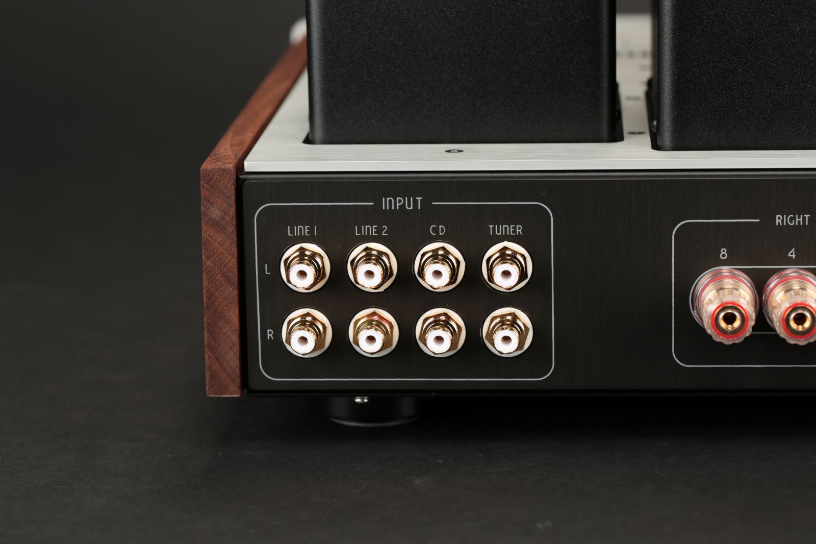 2025-10-28 리자베타 XE 017.JPG