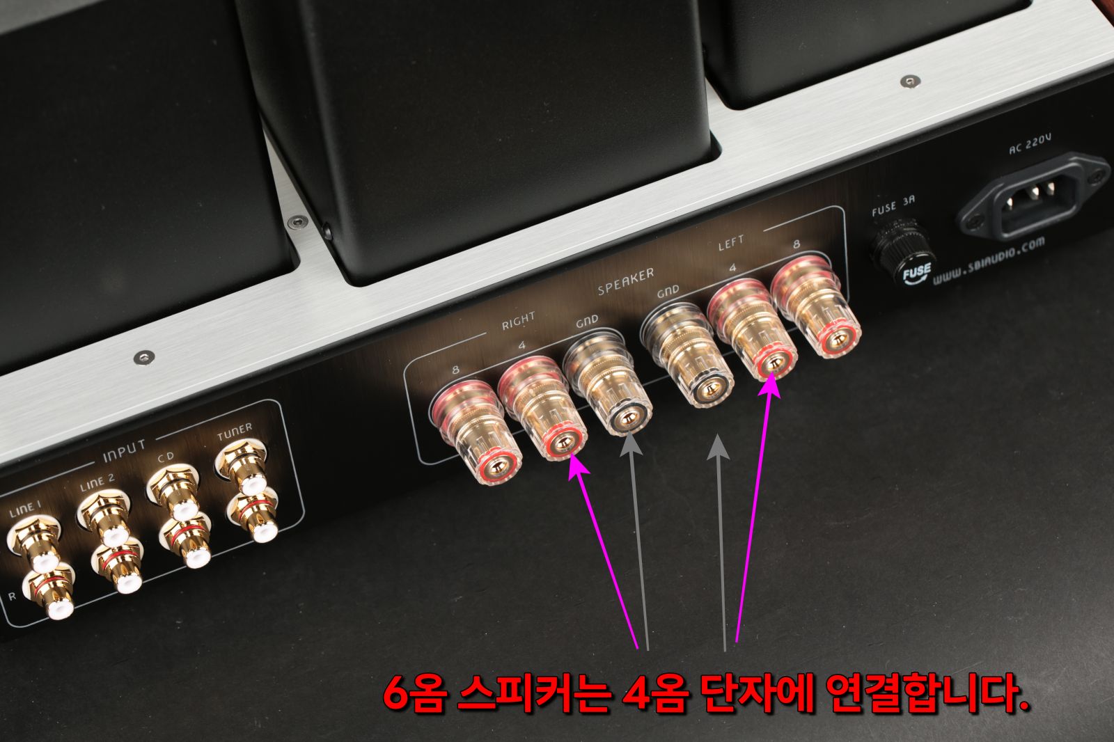 2025-11-04 리자베타 XE 014.JPG
