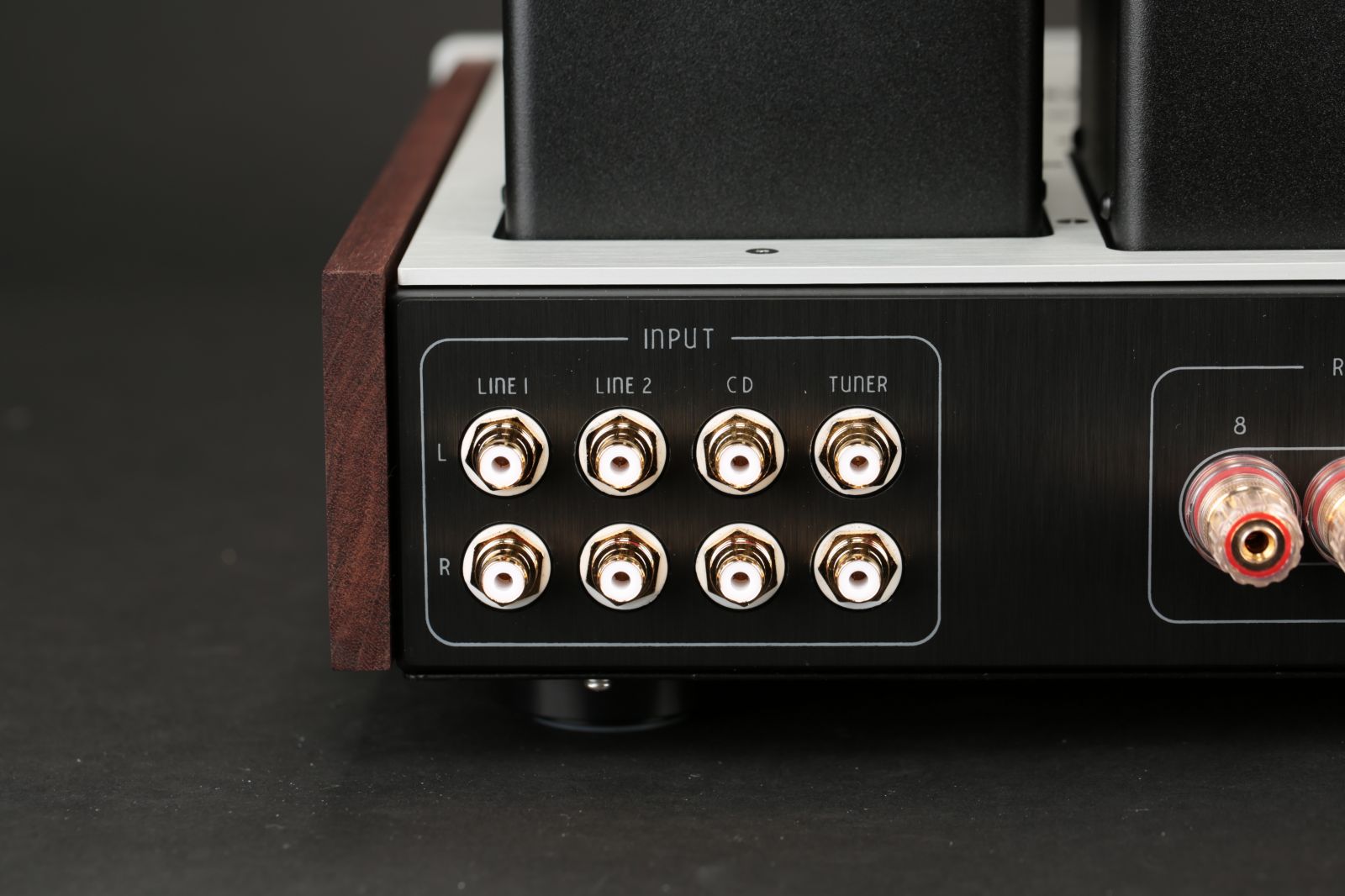 2025-11-04 리자베타 XE 012.JPG