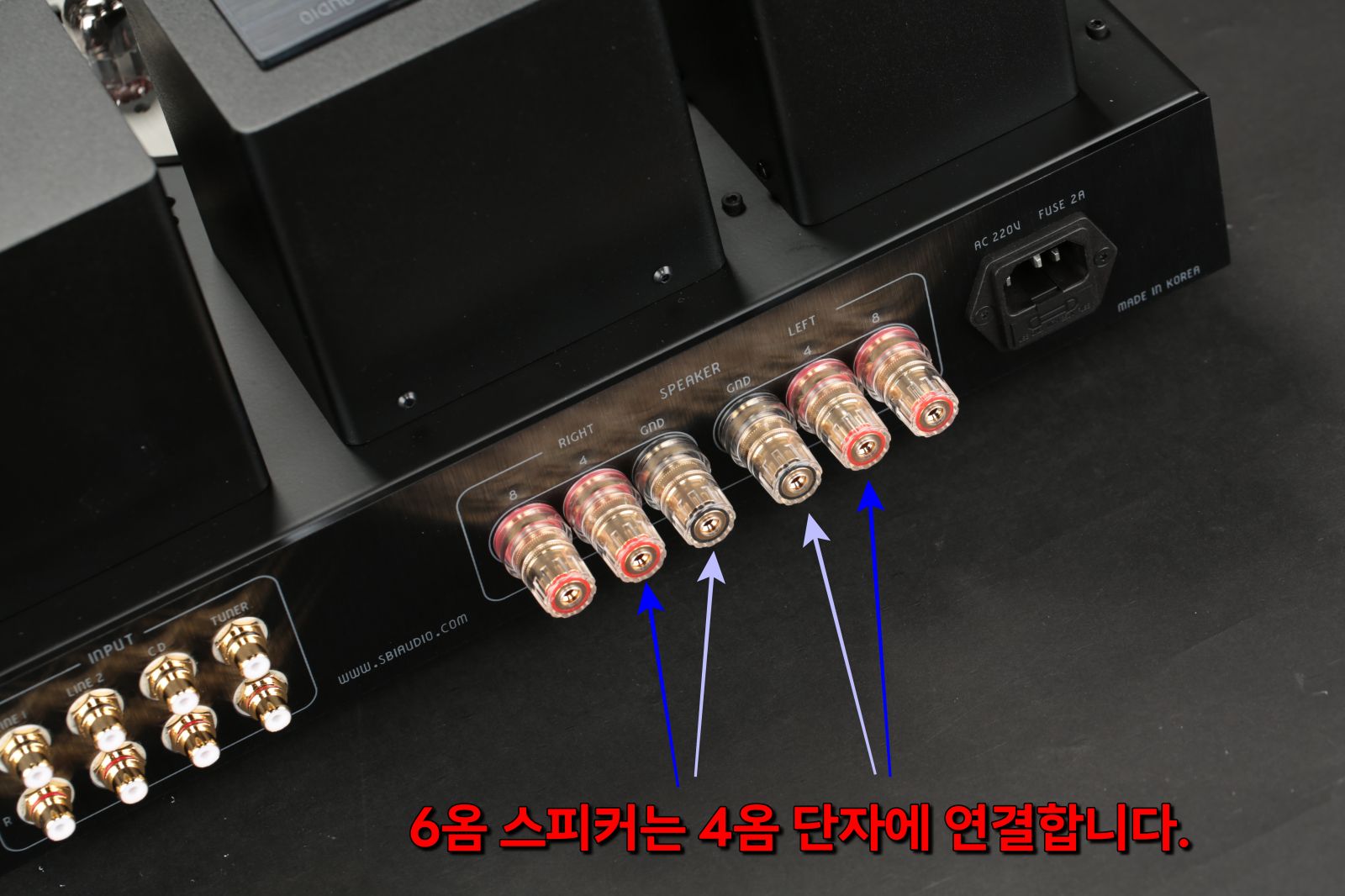 2026-05-09 델리카투스 파라렐 010-1.JPG