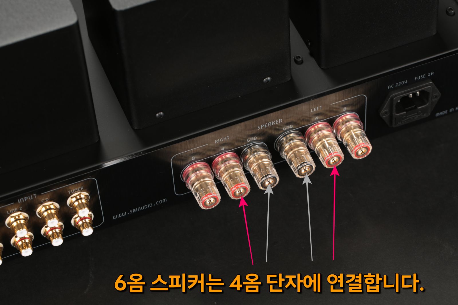2025-08-13 20250813델리카투스 파라렐 009-1.JPG