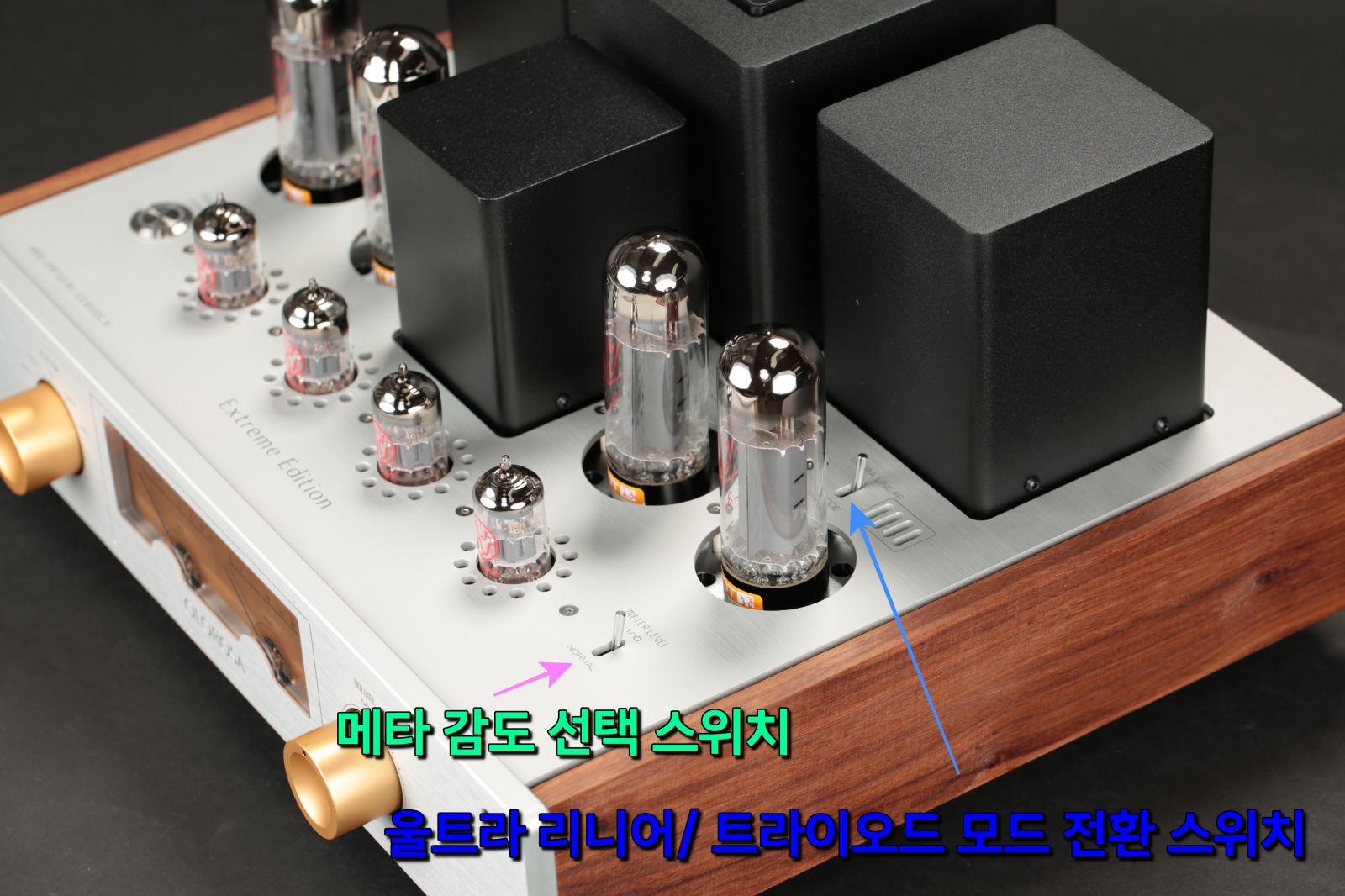 2025-12-13 올로로사 XE 006-1.JPG