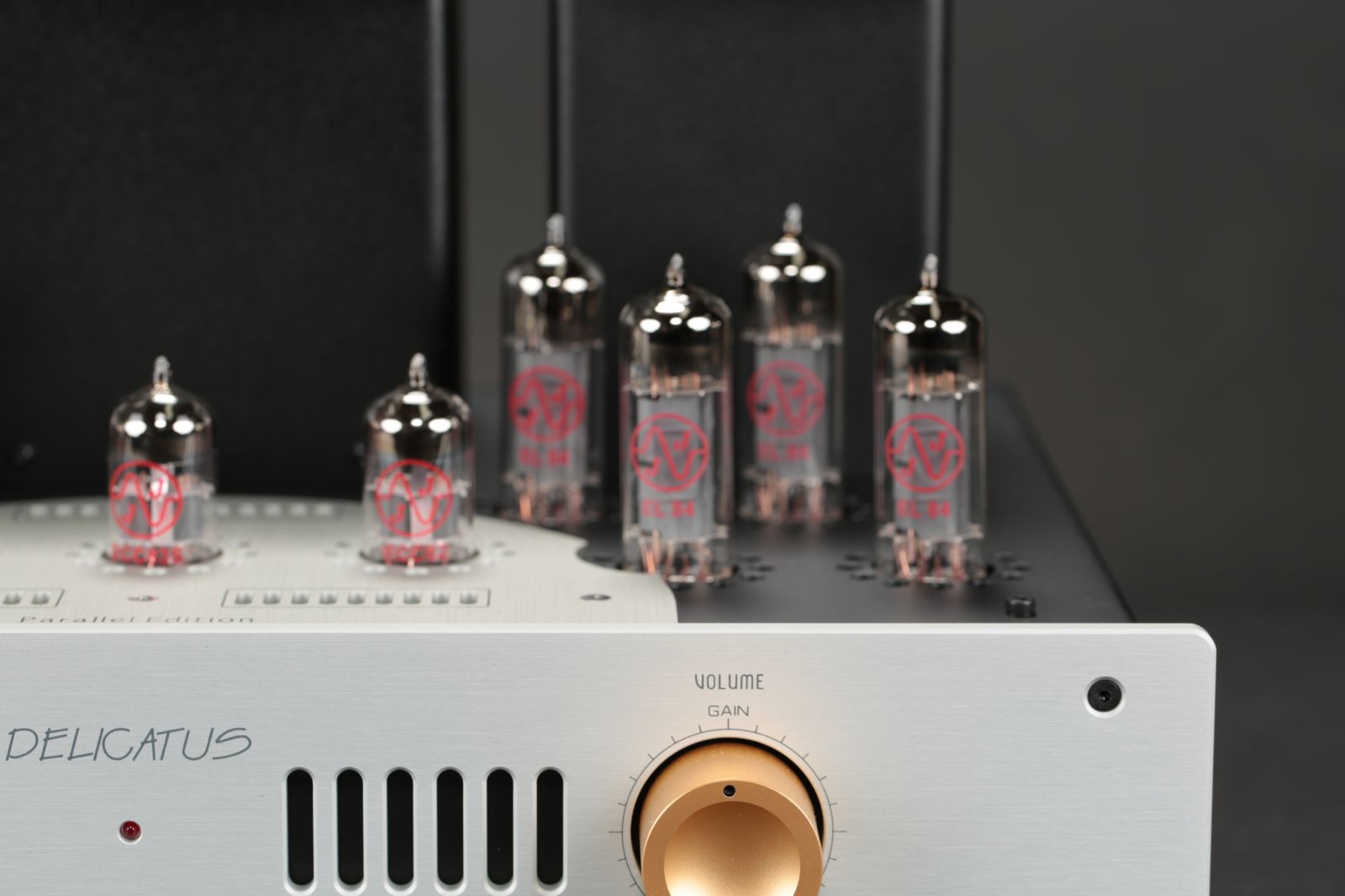 2026-01-22 델리카투스 파라렐 004.JPG