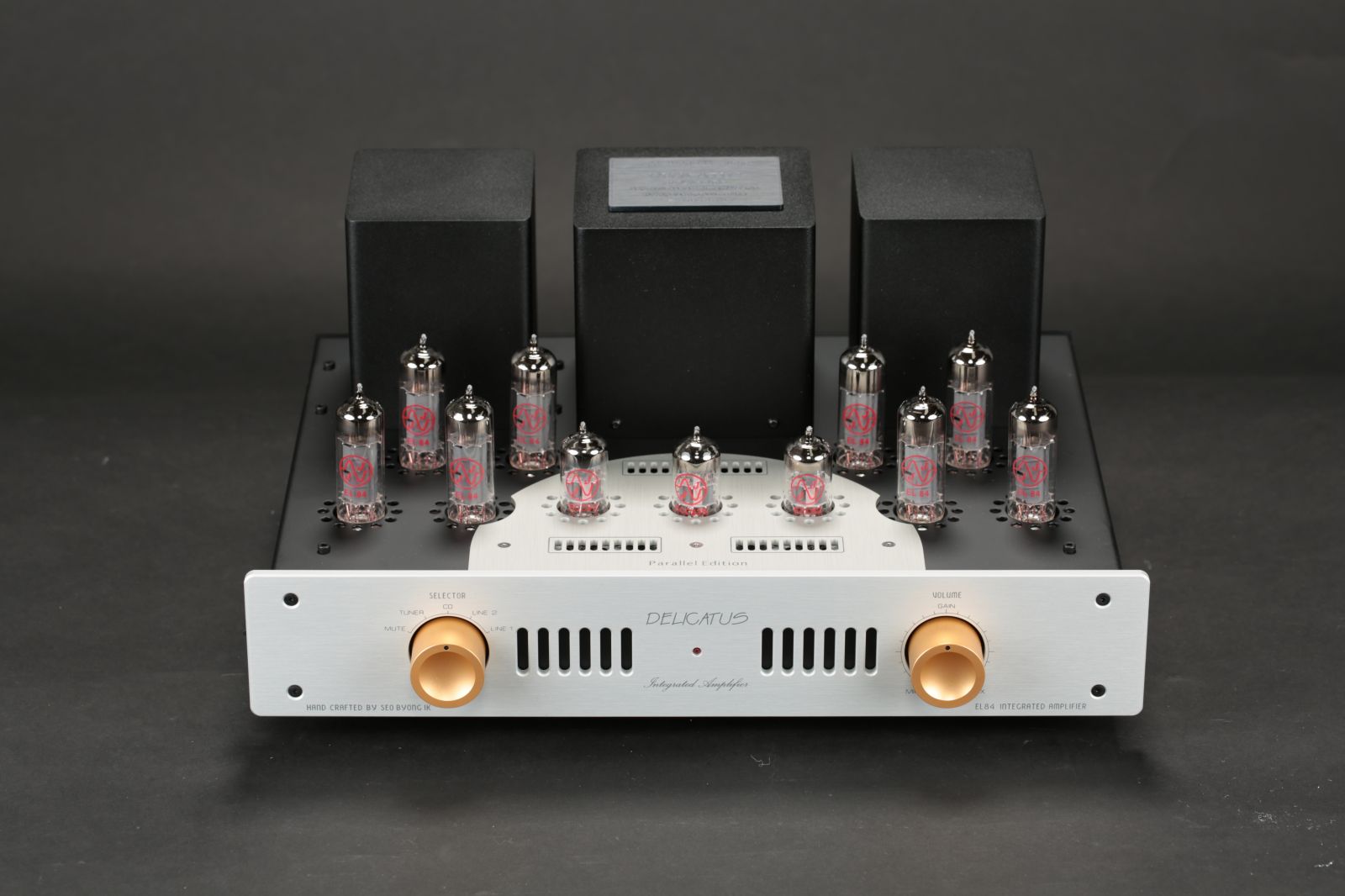 2026-01-22 델리카투스 파라렐 001.JPG