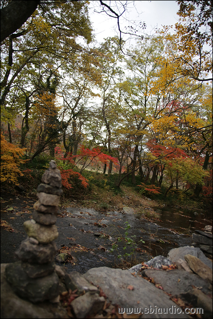 20161113선운산도솔천 047.jpg