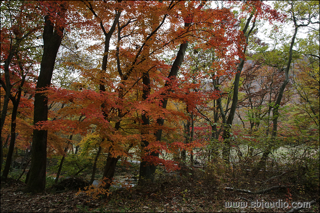 20161113선운산도솔천 056.jpg