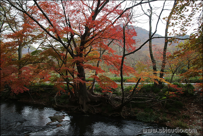 20161113선운산도솔천 062.jpg