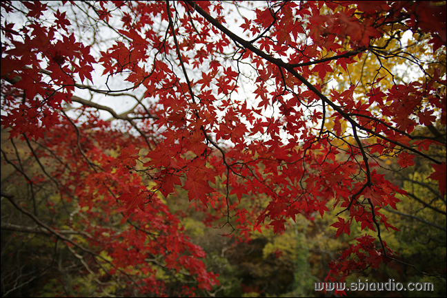 20161113선운산도솔천 008.jpg