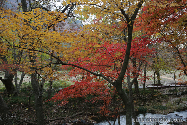 20161113선운산도솔천 054.jpg