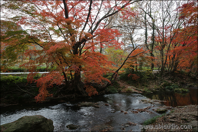 20161113선운산도솔천 059.jpg