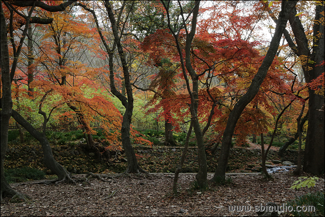 20161113선운산도솔천 024.jpg