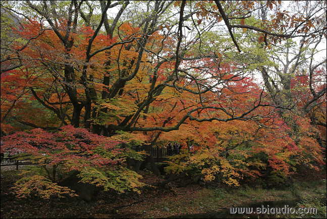 20161113선운산도솔천 013.jpg