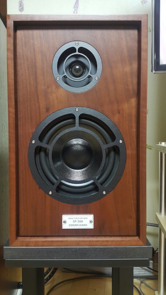 서병익 SP-200 (6).jpg