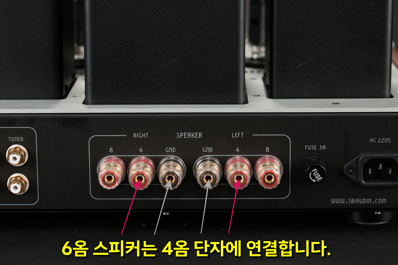 20240816올로로사 XE 023-1.JPG