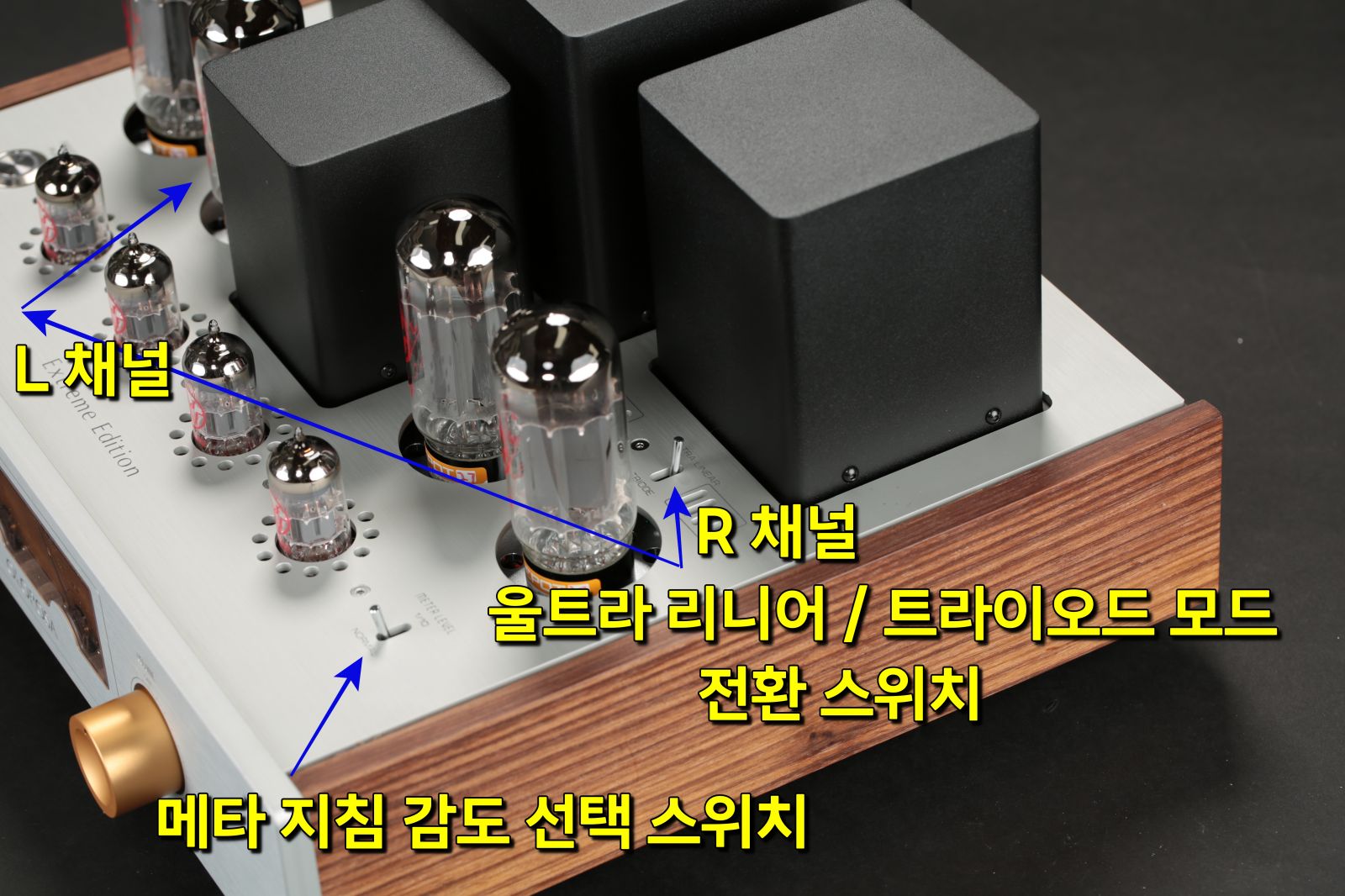 20240816올로로사 XE 019-1.JPG