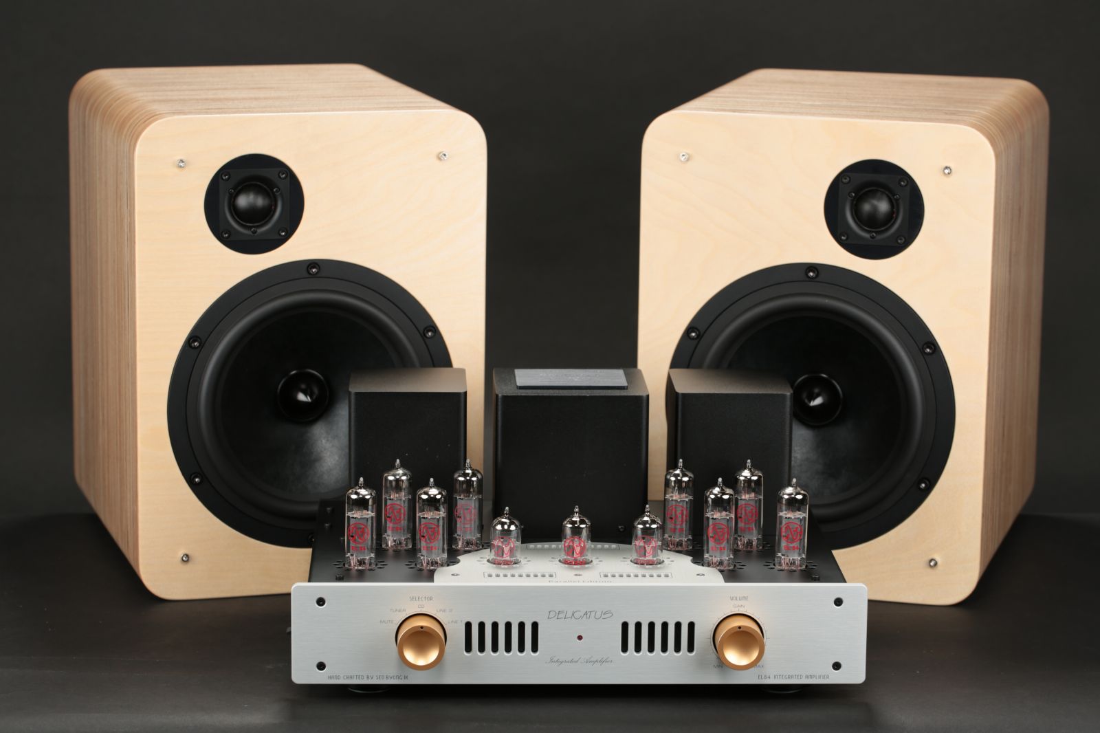 2026-03-26 델리카투스 파라렐과 SP-200 XE 022.JPG