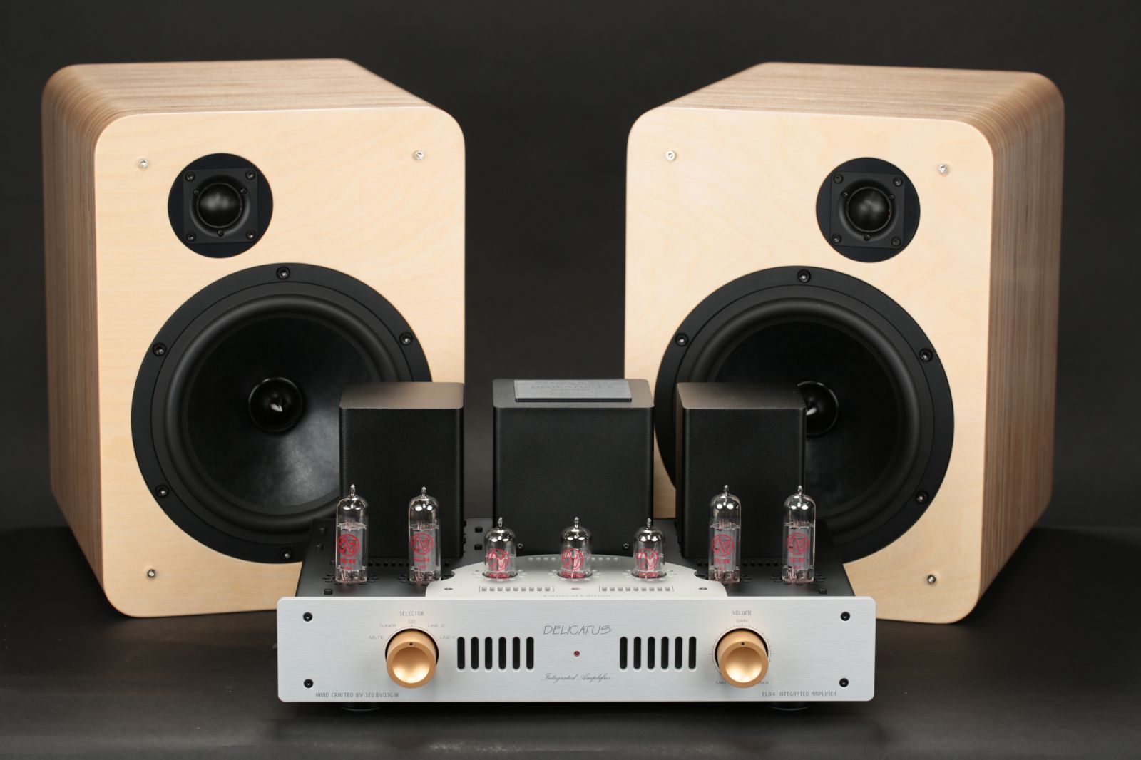 2026-03-26 델리카투스 파라렐과 SP-200 XE 025.JPG